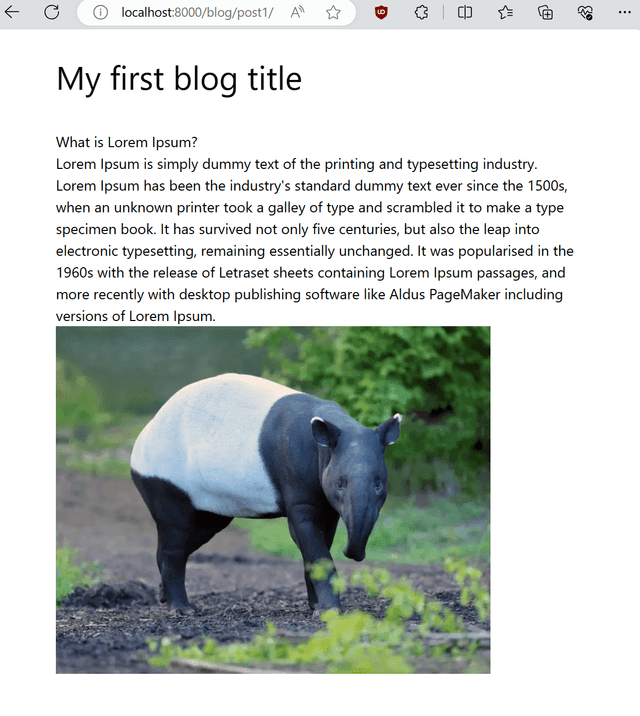 blog content